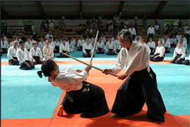 Haz Clic para Ver el Artículo sobre: Elementos de la historia del Aikido