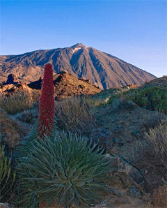 Haz click para ver presentación sobre El Parque Nacional del Teide